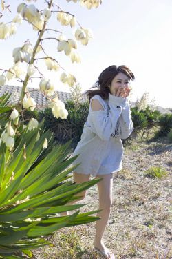 隔壁的女邻居深田咏美
