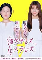 日剧电视剧《乖乖停下》