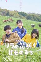 丁香花电影高清免费播放电视剧